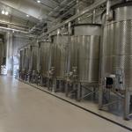 cambria_081 (November 02, 2018)